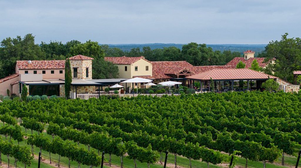 Vineyard estate on 290 Wine Trail pet friendly stay.